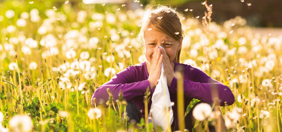 Heuschnupfen